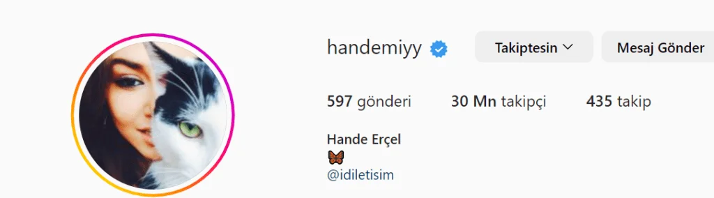 hande erçel 30 milyon takipçiye ulaştı! hande erçel'in instagtam hesabı nedir?