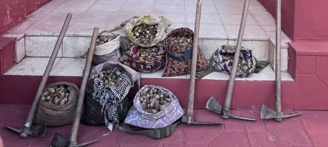 Salep soğanı toplayan 6 kişiye 678 bin lira ceza
