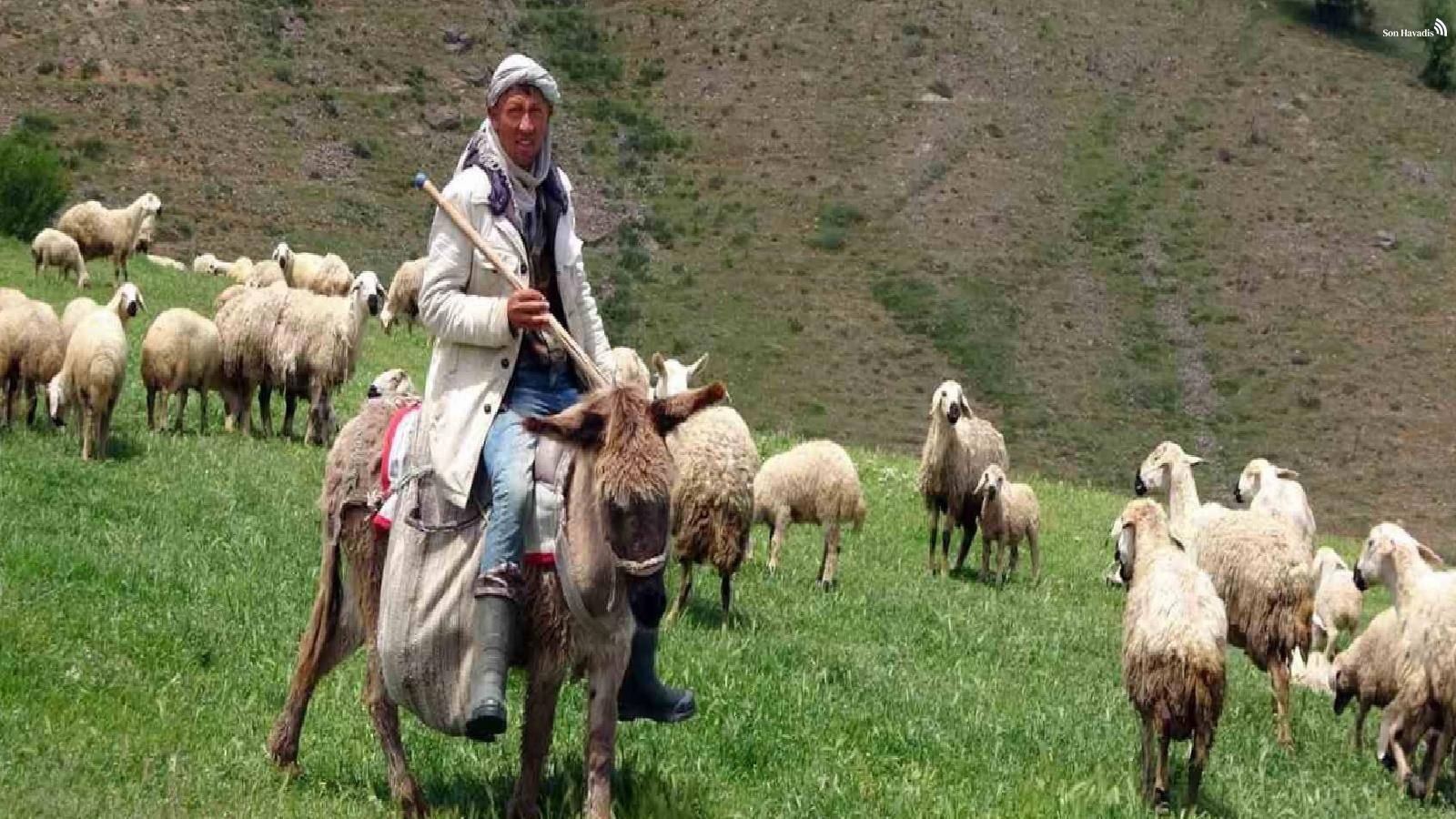 Yozgat'ta 16 bin lira maaşlı iş, Türkler beğenmeyince Afganlara kaldı