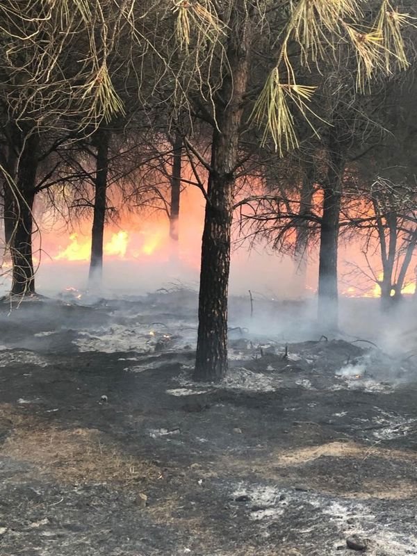 gökçeada’daki orman yangını kontrol altına alındı
