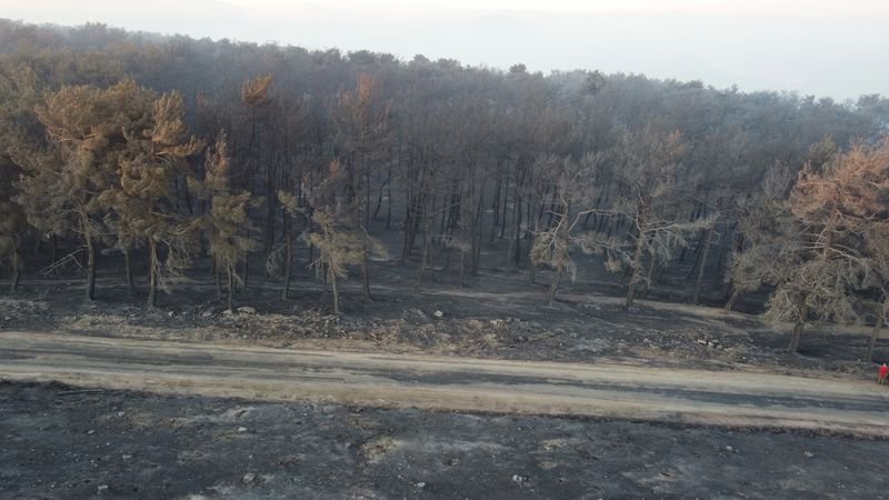çanakkale'deki orman yangınına 38. saatte ekipler müdahale etmeye devam ediyor