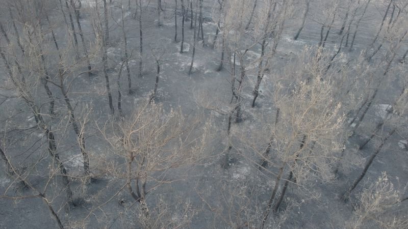 çanakkale'deki orman yangınına 38. saatte ekipler müdahale etmeye devam ediyor