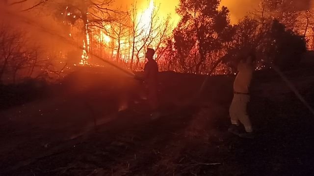 çanakkale orman yangını