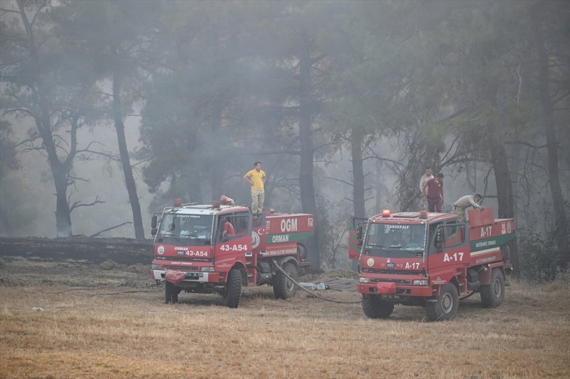 çanakkale'de çıkan orman yangınına müdahale devam ediyor