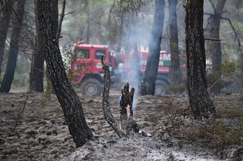 çanakkale'de çıkan orman yangınına müdahale devam ediyor