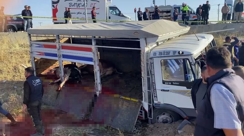 aksaray'da hayvan yüklü kamyonet servis minibüsü ile çarpıştı: 2 ölü, 19 yaralı